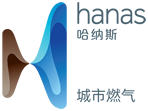 Hanas Group
